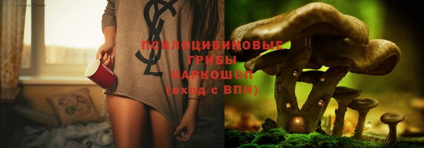 кокс Абаза