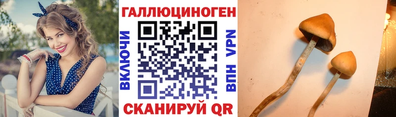 MEGA как войти  Костомукша  Псилоцибиновые грибы ЛСД 